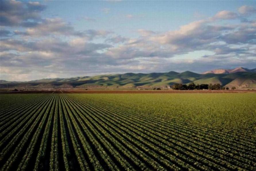 Study Agriculture Course in malaysia